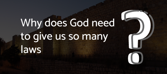 Moses, prophet, law giver