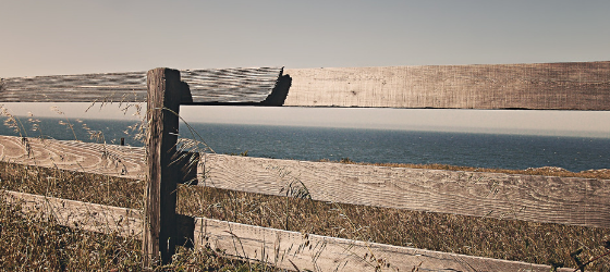 Living with a mission