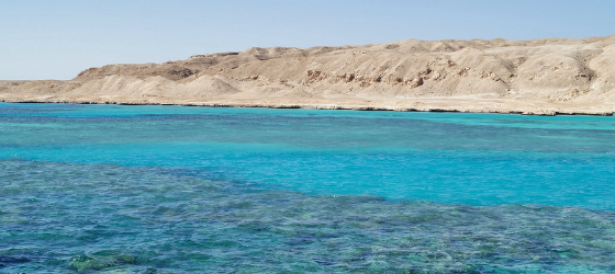 A voice from yesterday…