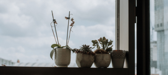 New on www.justtrudy.com: The learning window