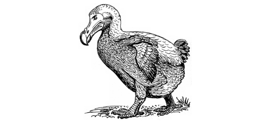 Nothing does not mean nothing