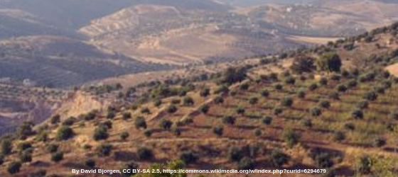 JEPHTHAH:  Hard to Get (Judges 11, 12)