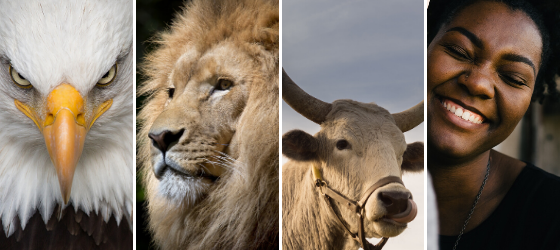 Leadership – living at the top of your game