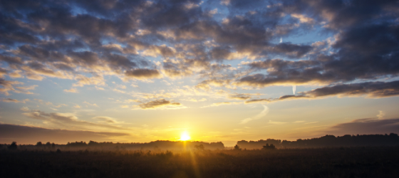 Roll back the darkness