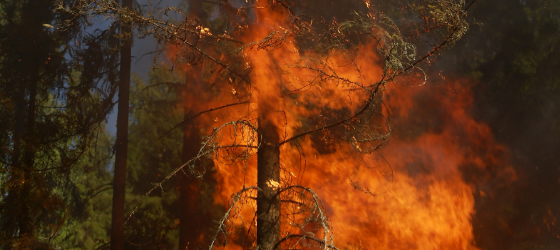 Exodus – it is good to be confused